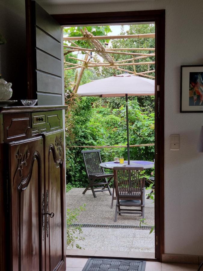 Villa El Correc Laroque-des-Albères Zewnętrze zdjęcie