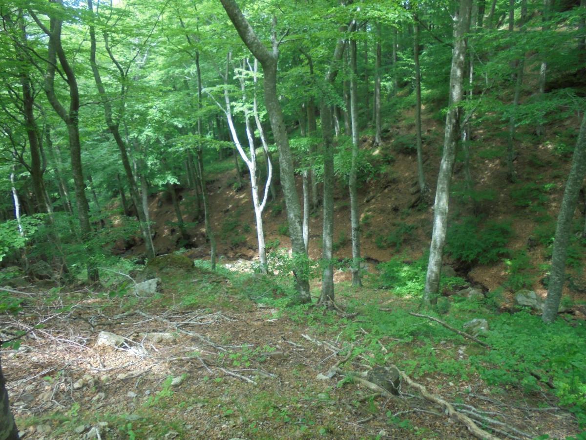 Villa El Correc Laroque-des-Albères Zewnętrze zdjęcie