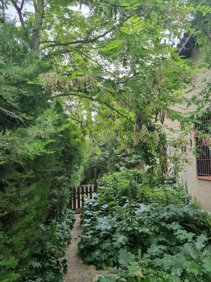 Villa El Correc Laroque-des-Albères Zewnętrze zdjęcie