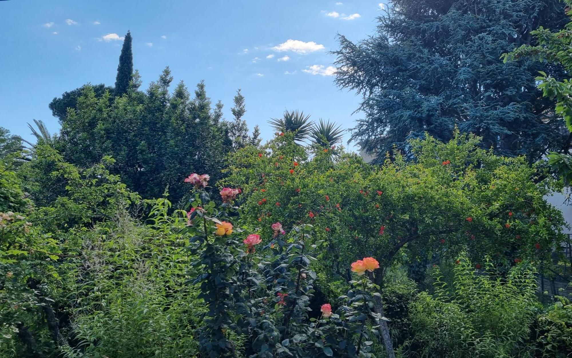 Villa El Correc Laroque-des-Albères Zewnętrze zdjęcie